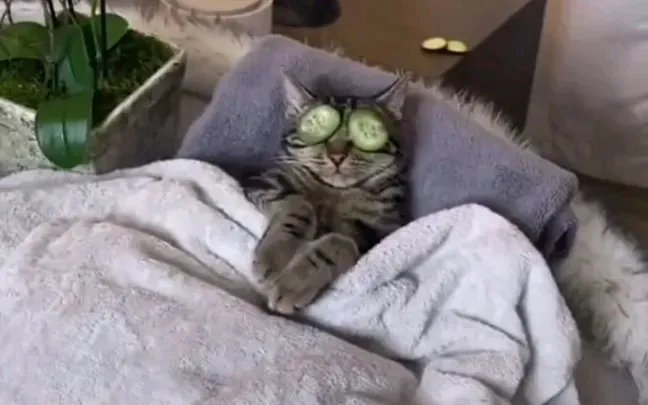 你网吧开黑没来的队友，可能都在洗浴中心敲背