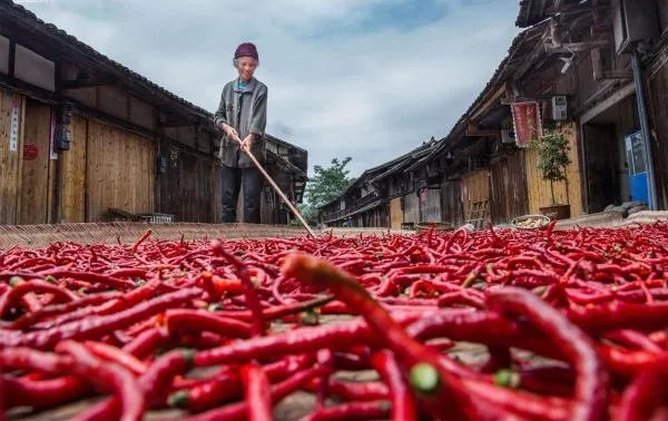 主人在屋外晒辣椒不到10分钟就被偷走，辣椒究竟被谁偷走了？