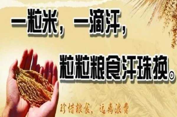 全球6.9亿人还在挨饿，如何避免不必要的浪费？