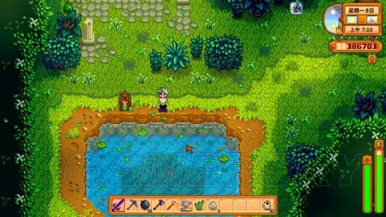 《星露谷物语》钓鱼攻略 钓鱼技巧及地点图文一览