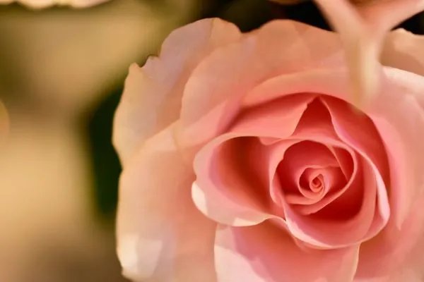 杀马特网名名字大全 杀马特网名葬爱繁体