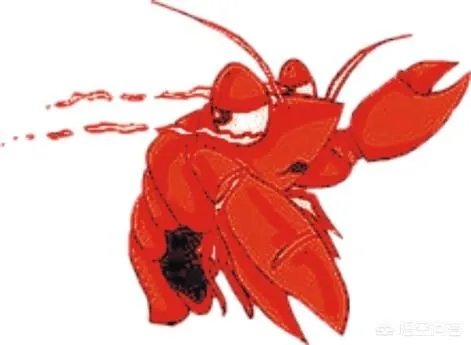 小龙虾养多久可以长大，它需要怎样的生长环境？