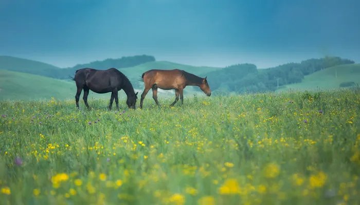 赵襄主学御文言文翻译及注释