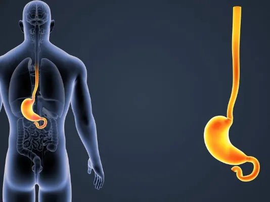 脾胃虚寒怎么调理