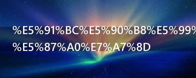 呼吸器分哪几种