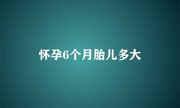 怀孕6个月胎儿多大