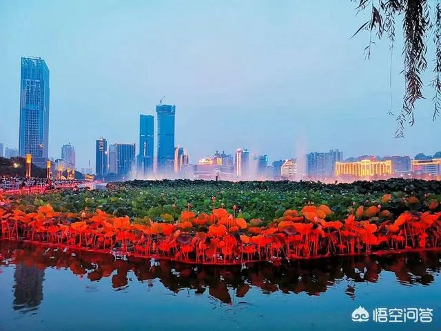 洛阳音乐喷泉值不值得看？你怎么觉得？