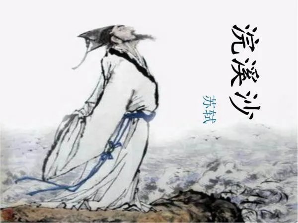 关于苏轼的资料