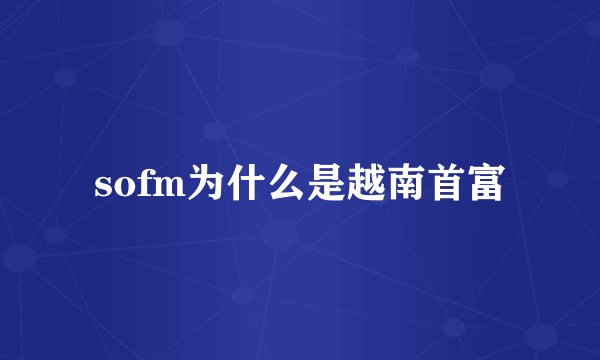 sofm为什么是越南首富