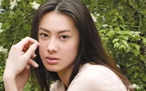 林丹为她甩下怀孕的妻子,李泽楷被她勾走了魂,赵雅淇的手段有多厉害?