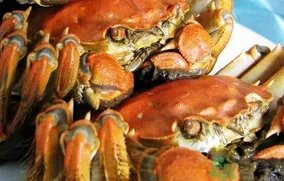 大闸蟹公的好还是母的好?大闸蟹公的好吃还是母的好吃?