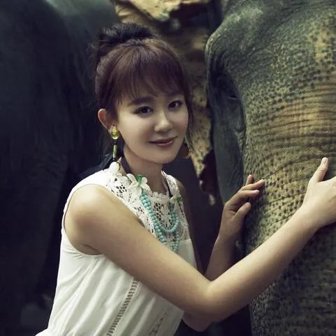 海陆个人资料及照片欣赏 “新紫薇”被疑年龄造假