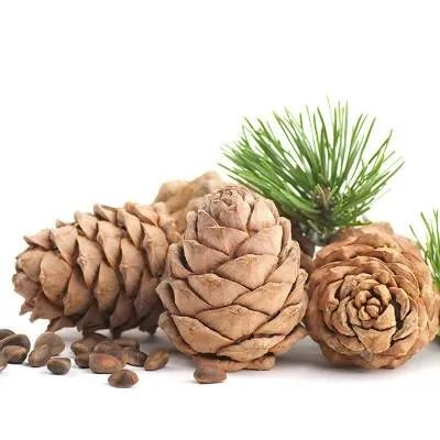 最新治疗糖尿病