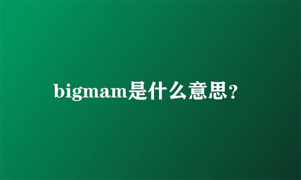 bigmam是什么意思？