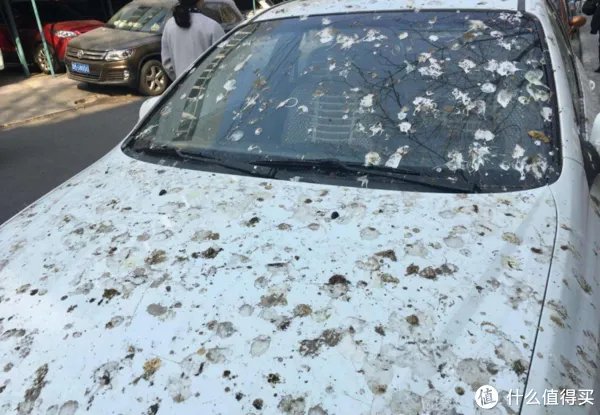 汽车车衣选购指南