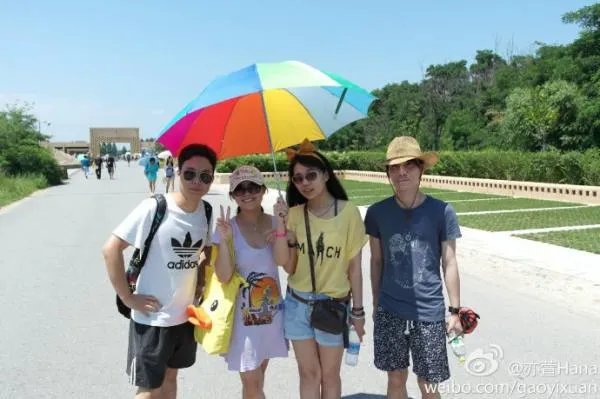 来几张莫大人，萱草的照片