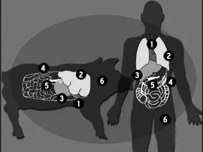 杨璐菡的人物介绍