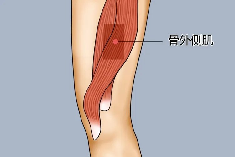 打疫苗正确位置图片