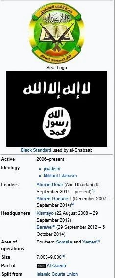 索马里青年党是什么