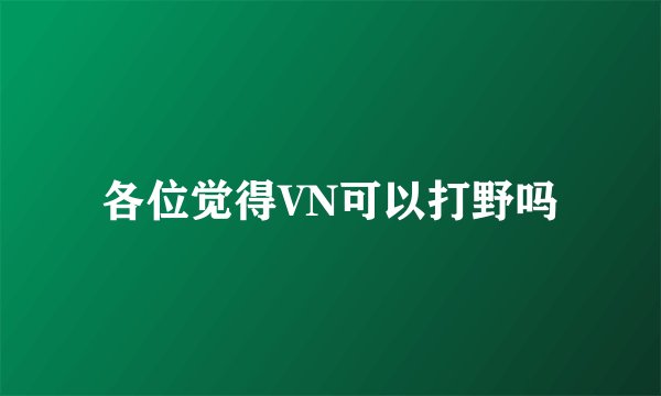 各位觉得VN可以打野吗