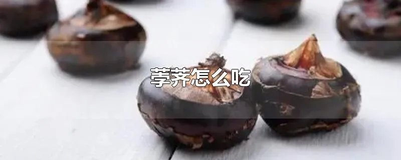荸荠怎么吃