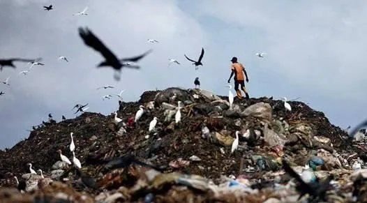 世界“第八大陆”究竟是什么呢？怎么形成的？