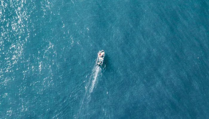 象牙塔是什么意思