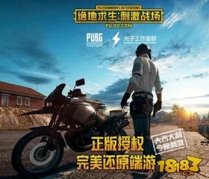 绝地求生手游两个版本哪个好呢