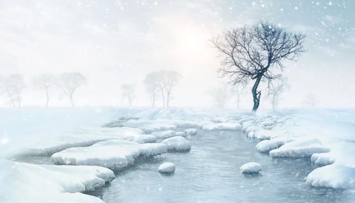 2023年的三九是从什么时候开始