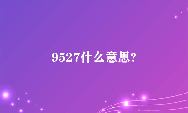 9527什么意思?