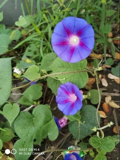 我听说很多女生不喜欢人家叫她小姐姐，那应该怎么叫？