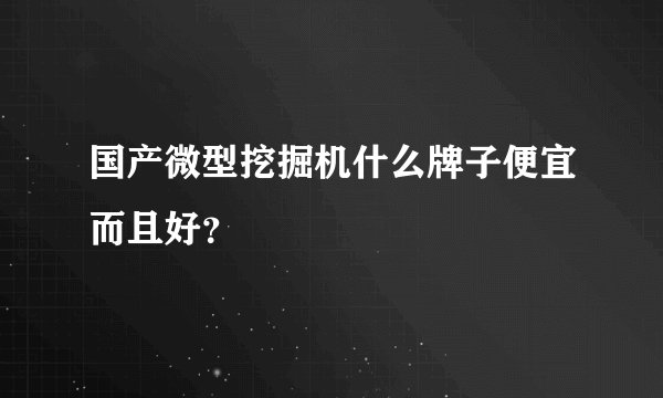 国产微型挖掘机什么牌子便宜而且好？