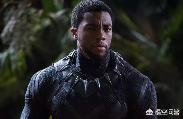 黑豹为什么票房那么高