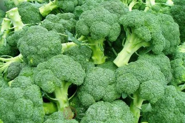 多吃这几种水果蔬菜 保护视力的效果好