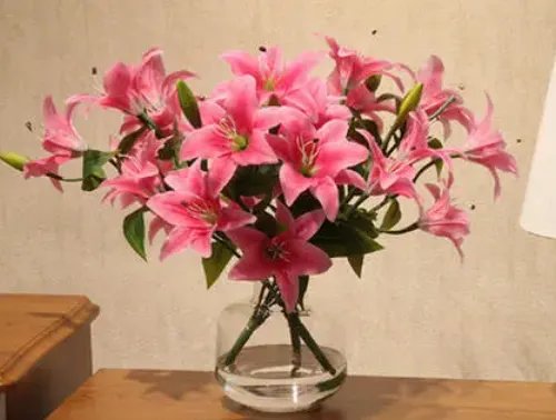 男朋友送百合花代表什么意思 送百合花送几朵好