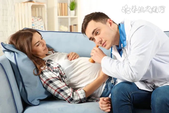 土荆芥的功效与作用