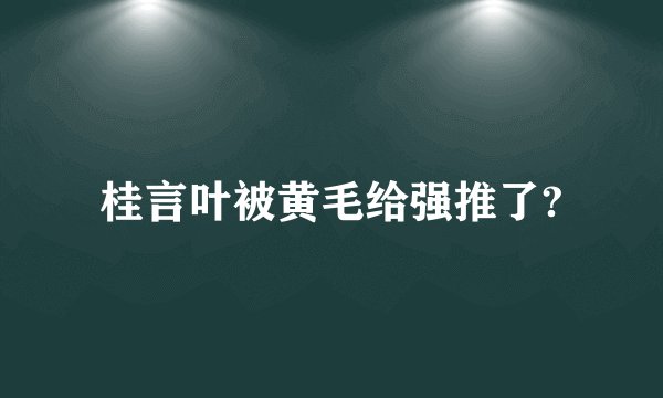 桂言叶被黄毛给强推了?