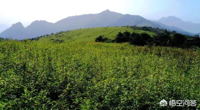 秦岭72峪最值得去的几个