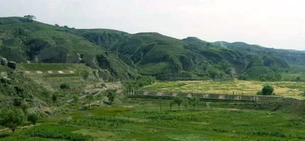 坪坝的近义词是什么