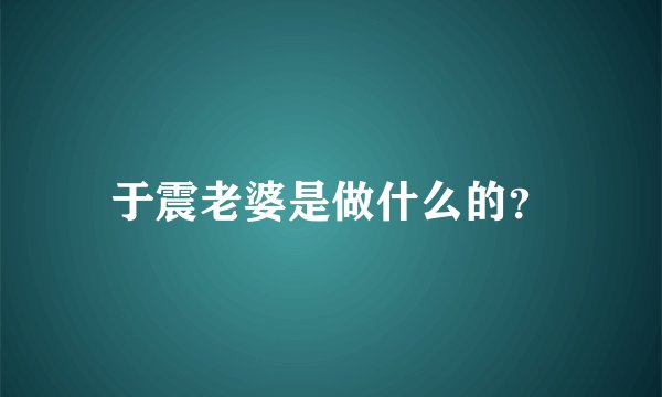 于震老婆是做什么的？
