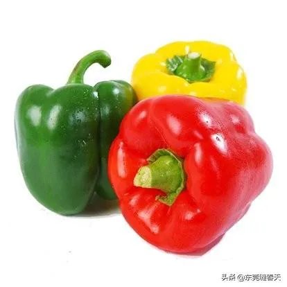 萨菲罗彩椒有什么特点？它的栽培技术要点有哪些？