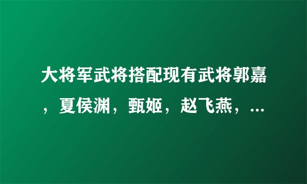 大将军武将搭配现有武将郭嘉，夏侯渊，甄姬，赵飞燕，萧何武将应该怎么搭配？