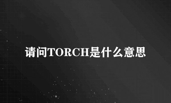 请问TORCH是什么意思