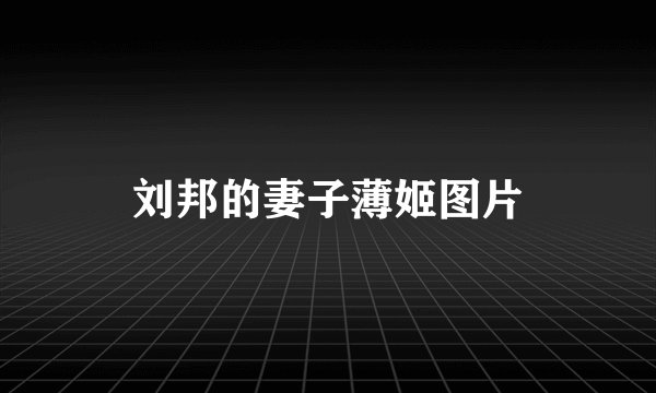 刘邦的妻子薄姬图片
