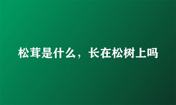 松茸是什么，长在松树上吗