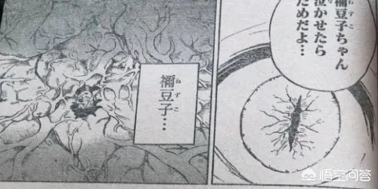 鬼灭之刃202话情报说了什么，炭之郎变回人了吗？