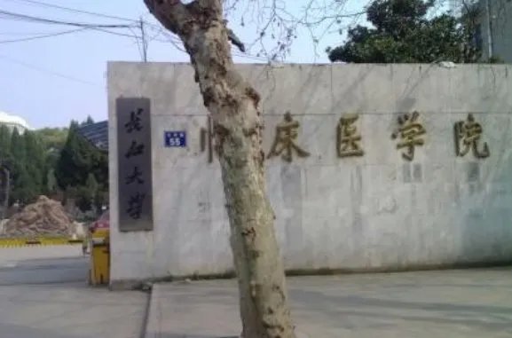 长江大学医学院怎么样
