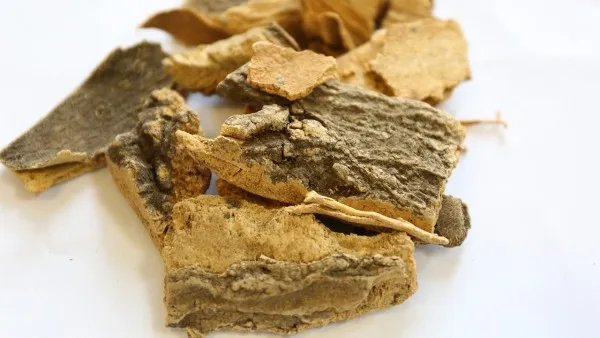 芦荟软胶囊的功效与作用 芦荟软胶囊的四大功效