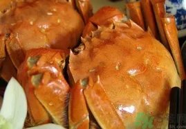 大闸蟹公的好还是母的好?大闸蟹公的好吃还是母的好吃?