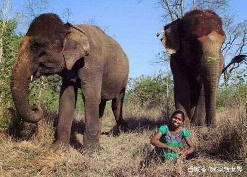 有人说象棋是起源于古印度,这个是真的吗?